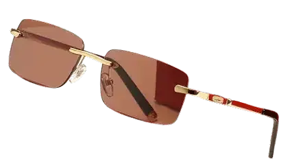 Cartier Sunglasses #2 (27 Variants)